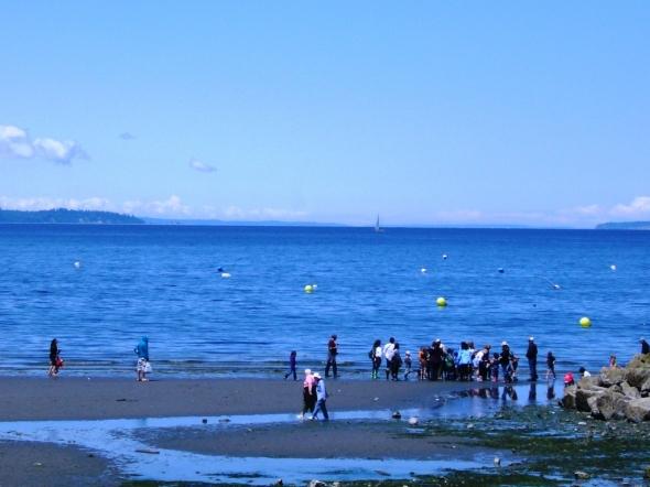 Edmonds Underwater Park (Bruce Higgins UW trails) - Edmonds Underwater Park