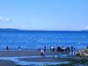 Edmonds Underwater Park - badintexas