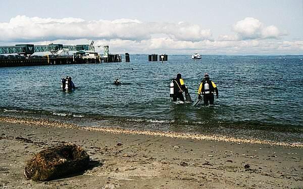 Edmonds Underwater Park (Bruce Higgins UW trails) - EUP 2