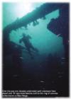 Edmonds Underwater Park (Bruce Higgins UW trails) - EUP 12