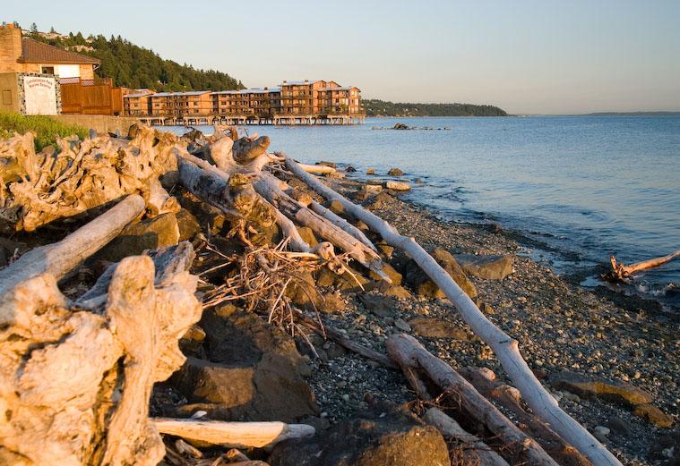 Alki Pipeline - Site