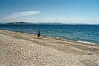 Alki Beach Park - Alki Beach