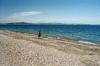 Alki Beach - NWKatShark