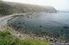 Fort Ross Reef Campground - Life’s a Beach