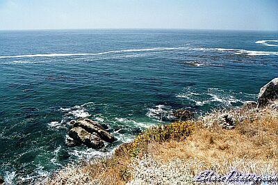 Fort Ross South - Life’s a Beach