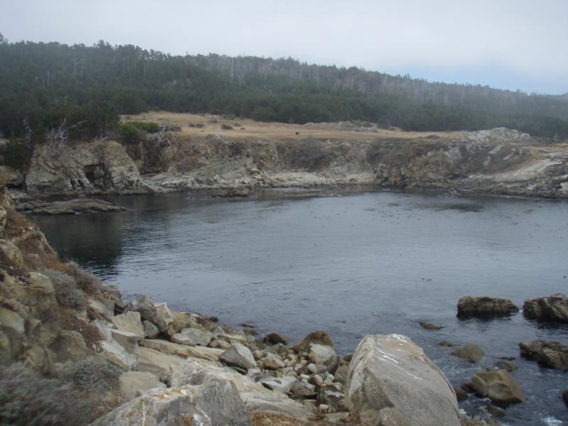 Gerstle Cove - Mendocino Coast - Gerstle Cove