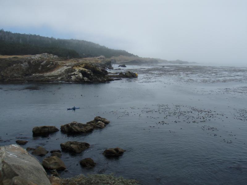 Gerstle Cove - Mendocino Coast - Gerstle Cove opens up