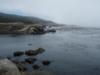 Gerstle Cove opens up