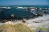 MacKerricher State Park - Mendocino Coast - Fort Bragg CA