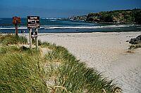 Caspar Bay - Mendocino Coast - Life’s a Beach