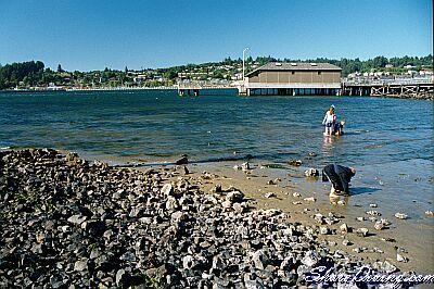 Wacoma Dock - Life’s a Beach