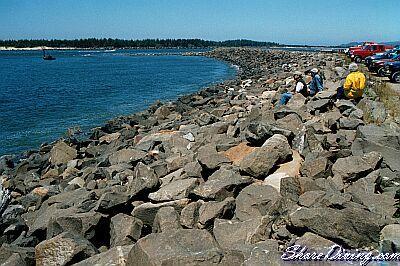 Winchester Bay - Life’s a Beach