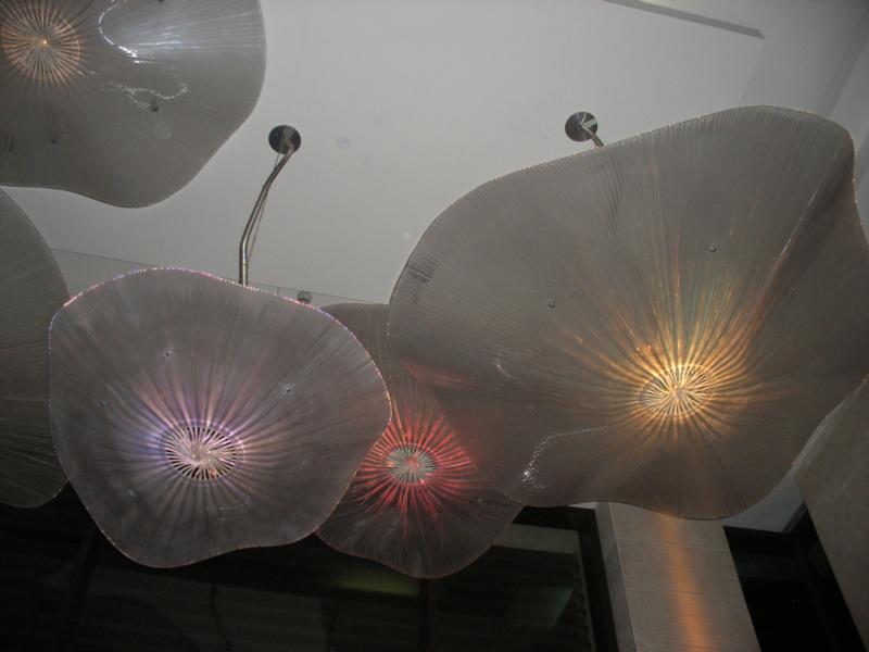Lights made from Jelly fish
