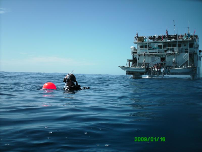 waiting for pickup - Nekton Pilot - mona island