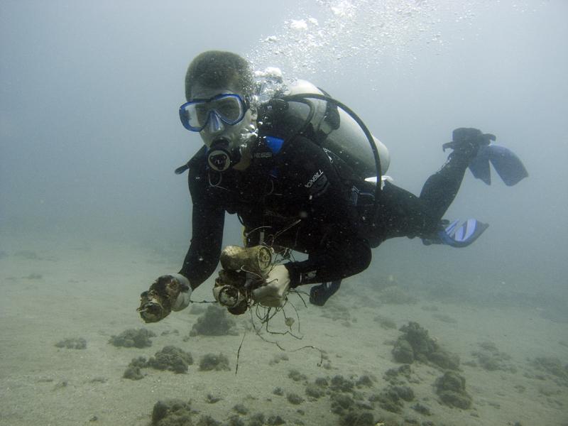 Reef Clean Up