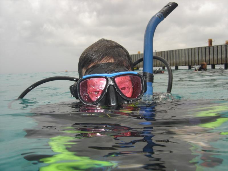 At the surface in Bonaire