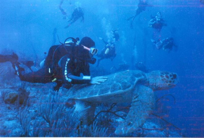 Diver and large turtle