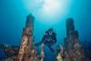 Diver on gunmounts, Speigel Grove, Fla Keys