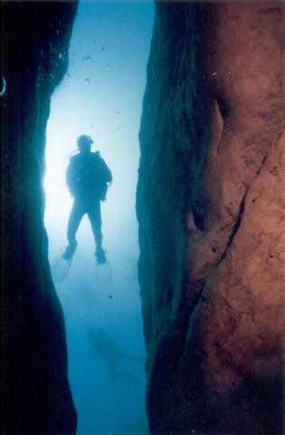 DIver silhouette at the cave Vortex Springs, FL