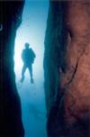 DIver silhouette at the cave Vortex Springs, FL