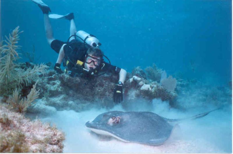 Southern Stingray, Key Largo, Fl