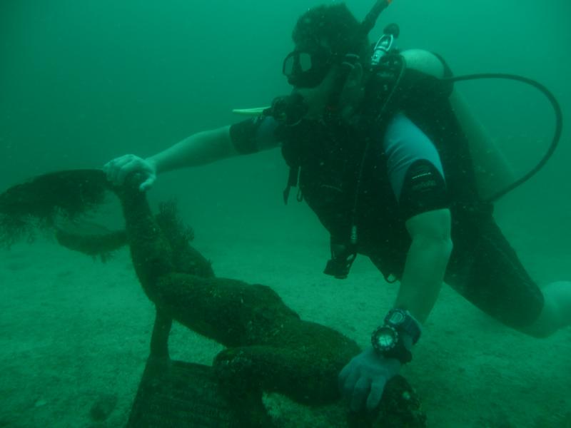 THE STATUE OF THE DIVER