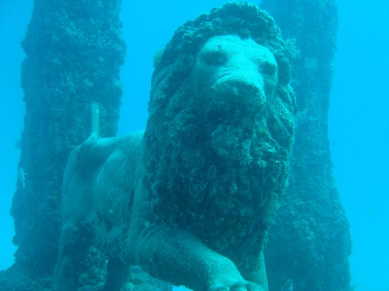 Gate Lion @ Neptune Memmorial Reef