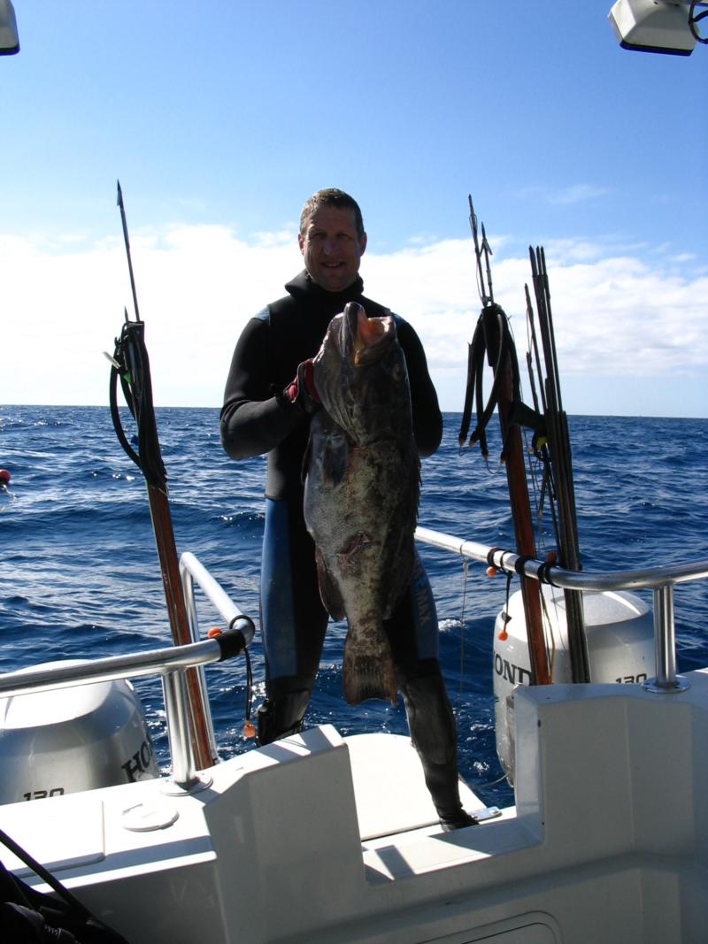 Black grouper