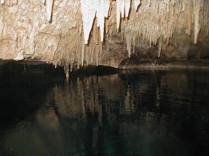 Underwater cavern in a cenote.