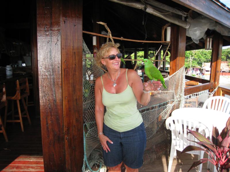 Rescue parrots in Roatan