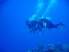diving