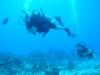 Cozumel
