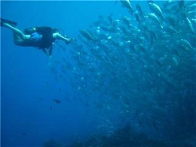 gang o trevally Tahiti 09