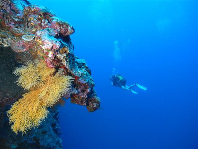 reef shot Tahiti 09