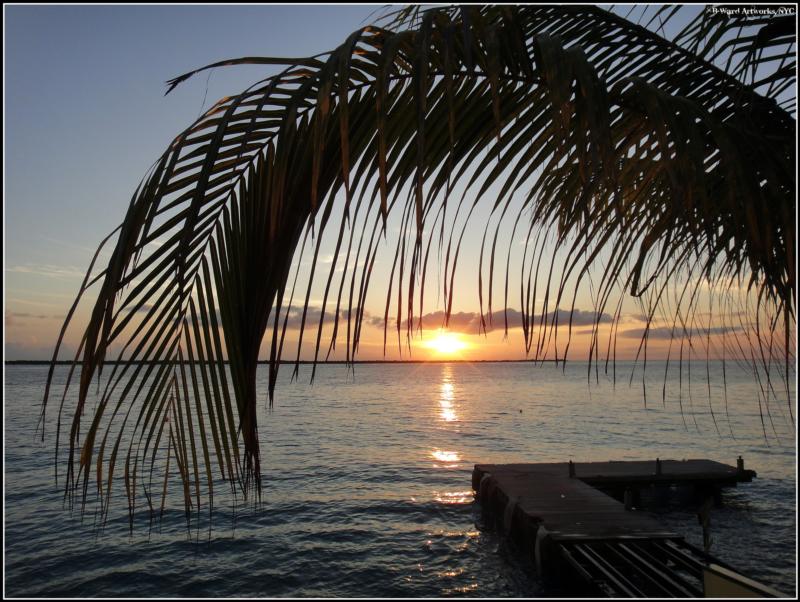 bonaire diving