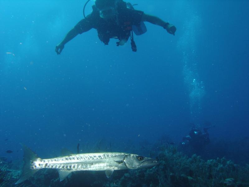 Barracuda Cay Sal Bank AUG 06