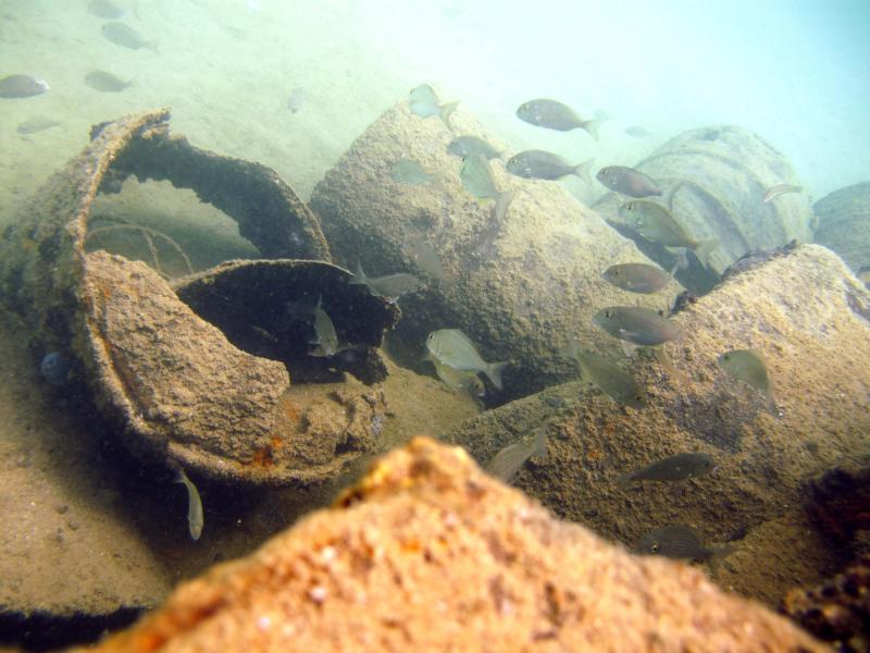 Artificial Reefs