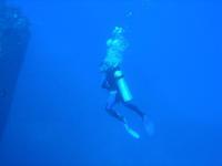 Red Sea