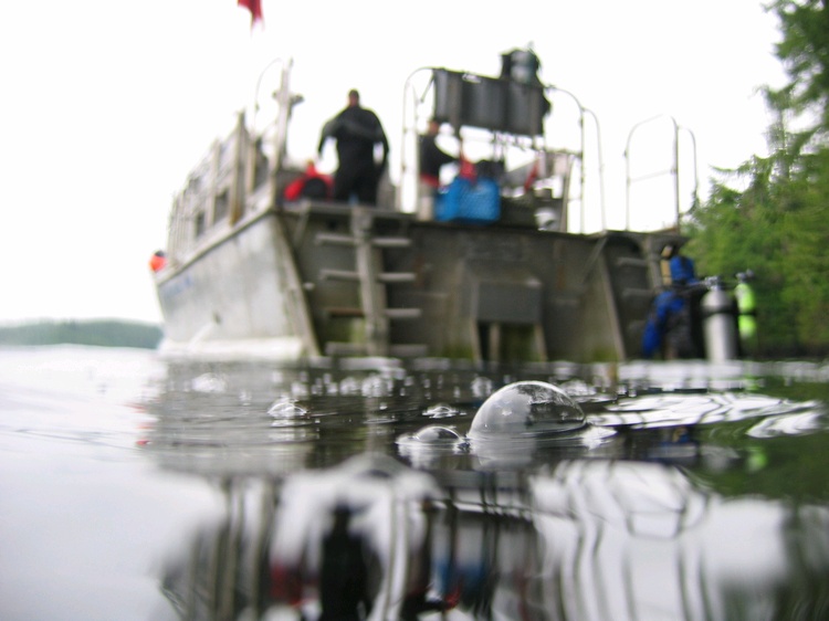 Dive Boat
