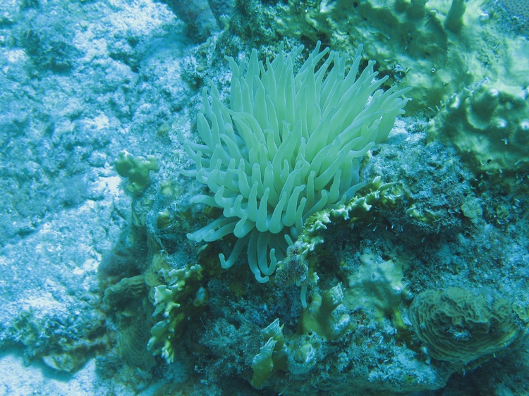 Bonaire 6-07