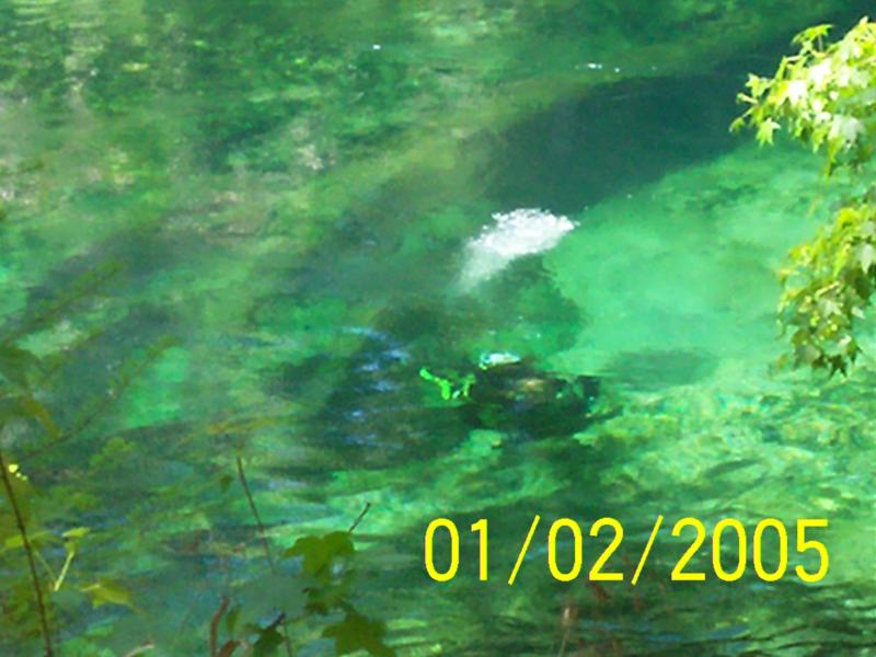 Blue Spring, Central Florida