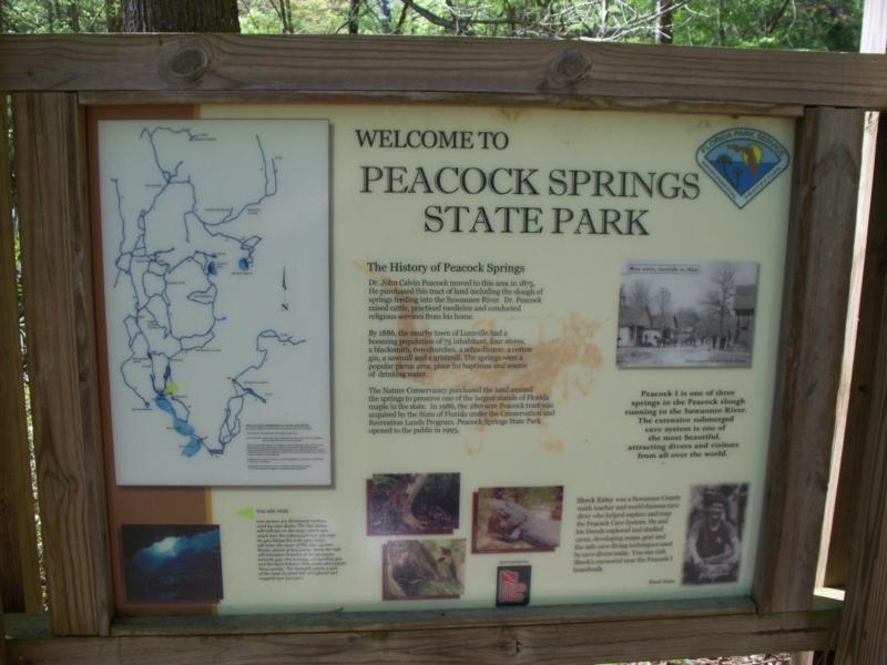 Peacock Springs