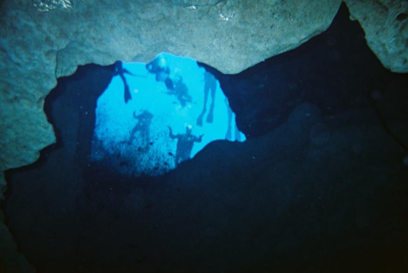 Morrison Springs