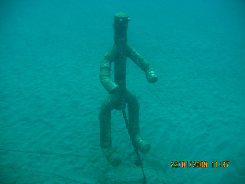Permanent dive buddy