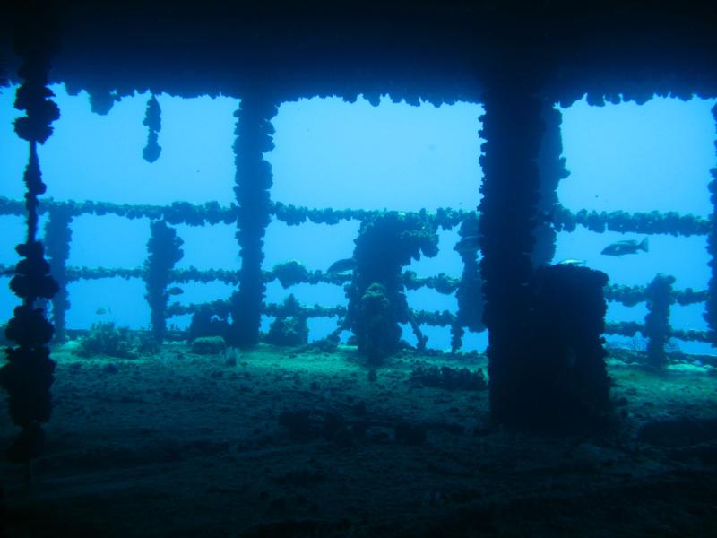 Inside a shipwreck