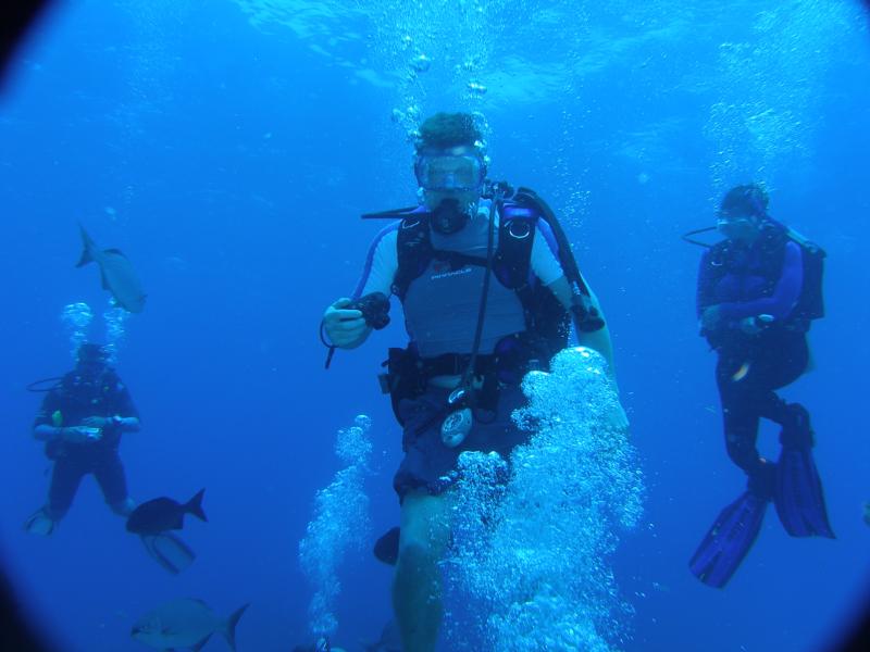 diving in honduras ’08