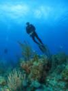 Vieques, PR 85ft