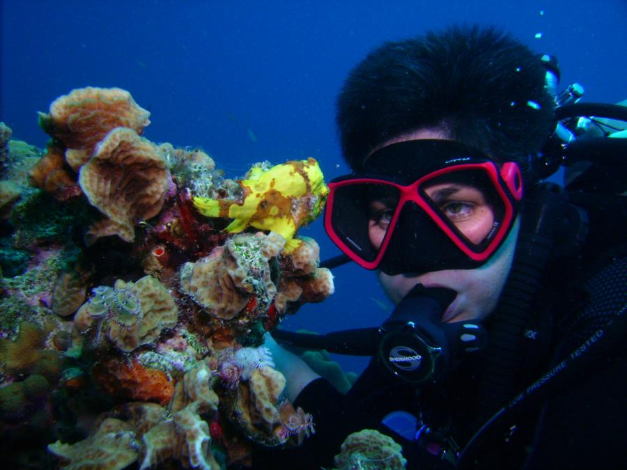 Bonaire - Calabas Reef