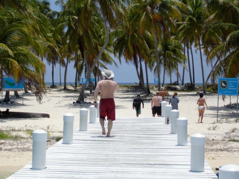 Squirt on Half Moon Caye, Belize