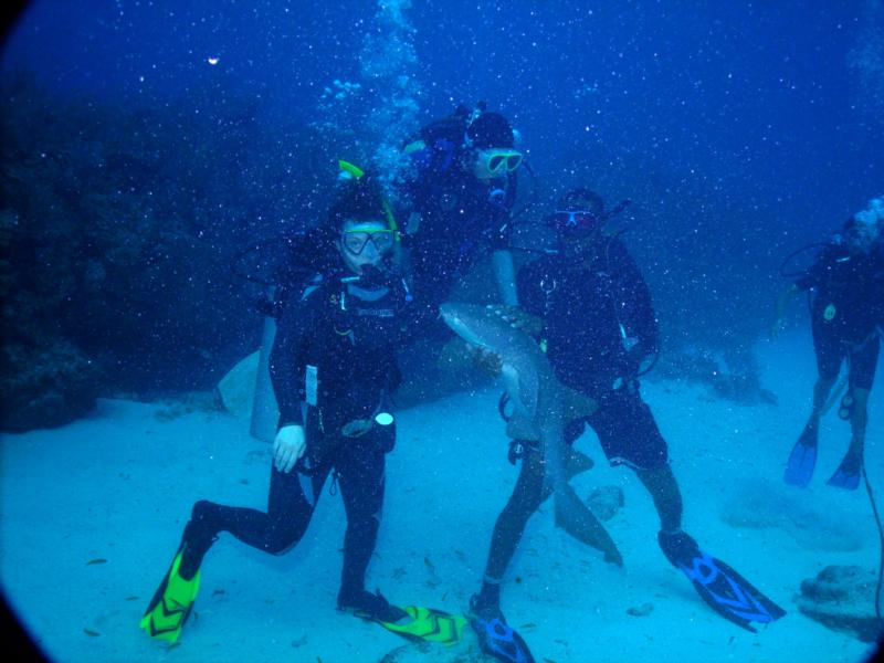 Christie petting a nurse shark in Belize